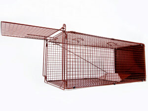 Animal Trap For Foxes or Cats