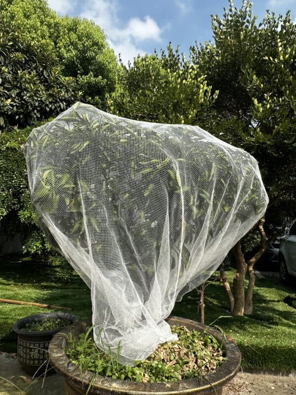 Viper Fruit Tree Net - Image 8